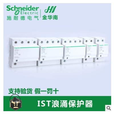 施耐德万高 IST 2P/4P 20KA/40KA/65KA iST 固定式T2类电涌保护器图3