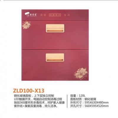 供应 老管家 ZLD100-X13消毒柜  厨房电器  厨房电器厂家图2
