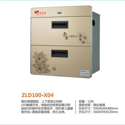 供应 老管家 ZLD100-X04消毒柜  厨房电器  厨房电器厂家图2
