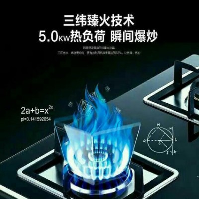厨房电器面向安徽火力招商中 区域代理加盟图8