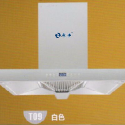 牵手DG353油烟机加盟经销厨卫电器批发代理厨房电器投资厨房电器生意图2