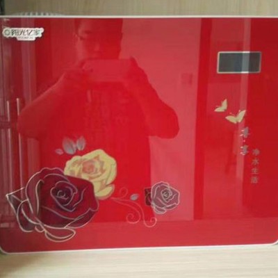 阳光亿家 净水机 家用净水器 反渗透纯水机 厨房电器图3