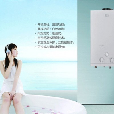 厨卫电器批发厨房电器厂家加盟**双眼灶具厨师傅品牌P907燃气热水器 供应厨师傅品牌P907燃气热水器图3