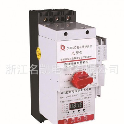 直销 CPS(KB0)-125C/3P基本型控制与保护开关电器低压电器
