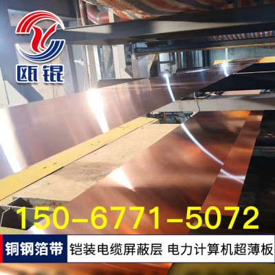 低压电气用覆铜合金带材 覆铜钢带 T2紫铜钢 双金属复合带 五金冲压件拉伸电器电工电子连接件 导电排32 16A 10A图3