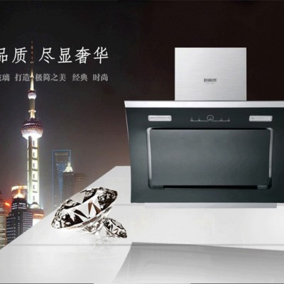 厨卫电器批发 厨房电器厂家加盟新款侧吸式厨师傅品牌A238油烟机图2