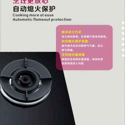 厨卫电器批发 厨房电器厂家加盟 **双眼灶具厨师傅品牌嵌入式D551燃气灶 厨师傅D551燃气灶图3