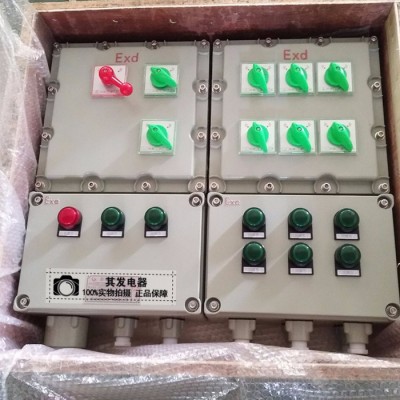 BXM(D)防爆照明配电箱 其他低压电器 防爆动力配电箱