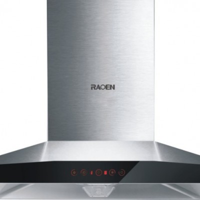 RAOEN劳恩CXW-218-T90欧式顶吸式抽油烟机 厨房电器