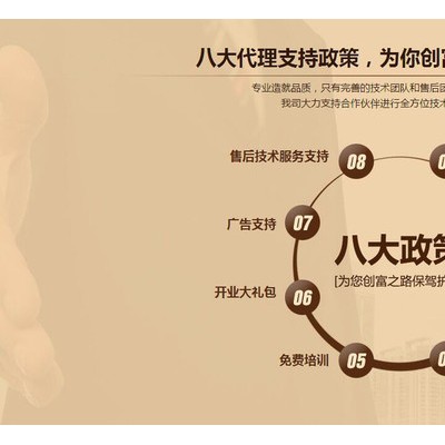付太厨房电器品牌直销招商FT-D23节能恒温热水器燃气热水器 提供OEM图2
