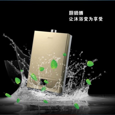 厨卫电器批发厨房电器厂家加盟**双眼灶具厨师傅品牌H268燃气热水器图3