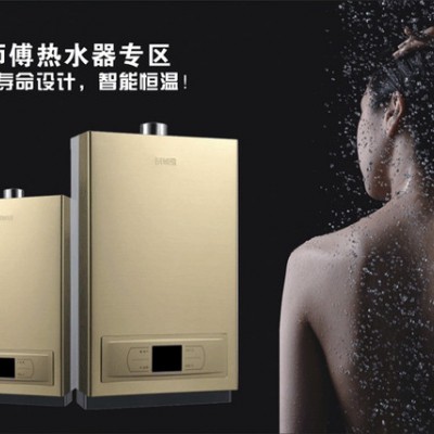 厨卫电器批发厨房电器厂家加盟**双眼灶具厨师傅品牌H268燃气热水器图2