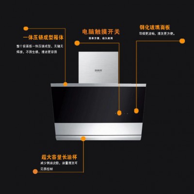 厨卫电器批发 厨房电器厂家加盟新款侧吸式厨师傅品牌A295油烟机图3