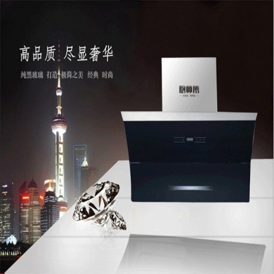 厨卫电器品牌 加盟厨房电器厂家 供应厨师傅新款品牌大吸力近吸式A569 油烟机图2