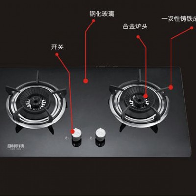 厨卫电器批发  厨房电器厂家加盟 **双眼灶具厨师傅品牌嵌入式D316燃气灶 燃气灶具图3