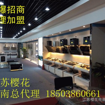 江苏樱花热水器厨房电器河南省总代理诚招河南省各县市代理商图3