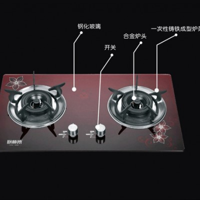 厨卫电器批发厨房电器厂家加盟**双眼灶具厨师傅品牌D558嵌入式燃气灶 供应厨师傅D558嵌入式燃气灶图2