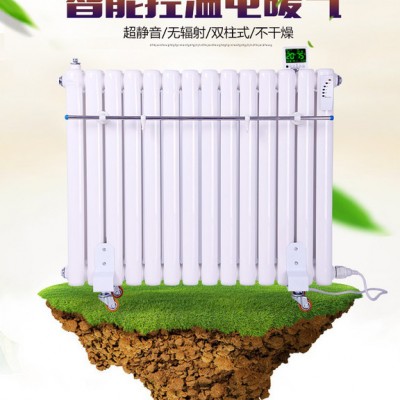 虹阳**智能电暖气  电暖散热器 电暖气生产厂家电暖暖气片 电暖水暖气 加热棒图2