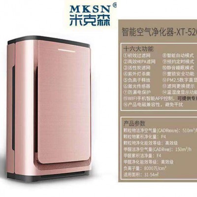 MKSN/米克森室内空气净化器