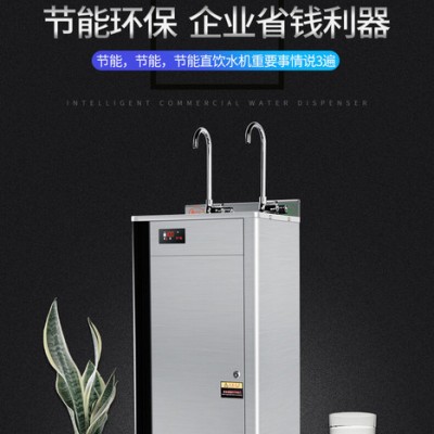 丽浦娜 节能净水饮水机/商用开水机/校园饮水机/开水器（弯管款+2级过滤+1开1温）图4