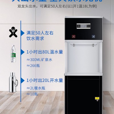 丽浦娜 柜式开水器/柜式净水饮水机/校园饮水机/开水器（豪华款+2级过滤+1开1温）图5