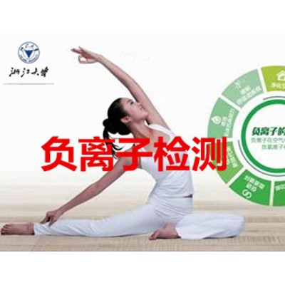 负离子空气净化器有益身心健康，2017 负离子产品检测图4