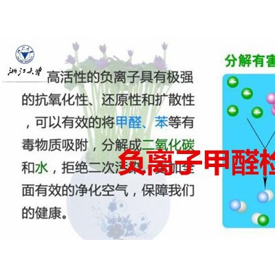 负离子空气净化器有益身心健康，2017 负离子产品检测图2