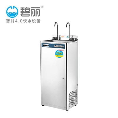 商用工厂饮水机不锈钢节能即热式饮水机碧丽立式学校工厂制冷饮水机厂家价格图3