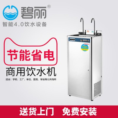 商用工厂饮水机不锈钢节能即热式饮水机碧丽立式学校工厂制冷饮水机厂家价格图2