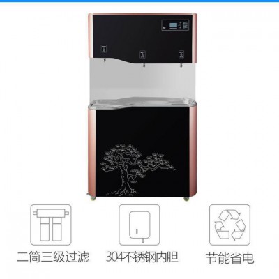 人人邦 节能开水器 企事业单位饮水机 办公饮水设备 商务直饮水机图4