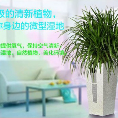 科丽艾空气净化器空气净化器图4
