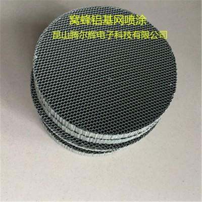 腾尔辉窝蜂铝基网光触媒  铝基鱼网光触媒滤网  TEH网状光触媒过滤网图5