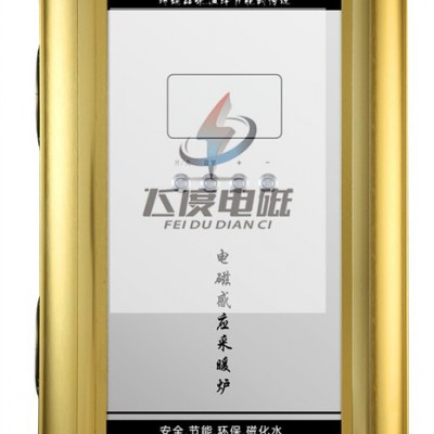 飞度电磁， 电磁采暖炉6-8-10KW 电采暖炉图5