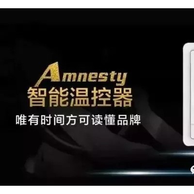 德国大赫电采暖Amnesty--500