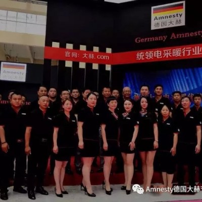 德国大赫电采暖Amnesty--500图2