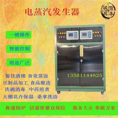 鲁通CWDR**节能家用电锅炉自然循环取暖全自动家用电采暖炉图2