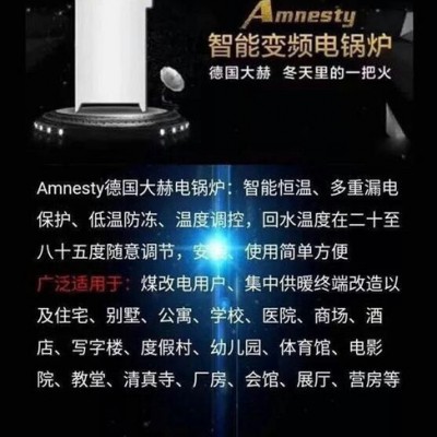 德国大赫Amnesty-200 电采暖