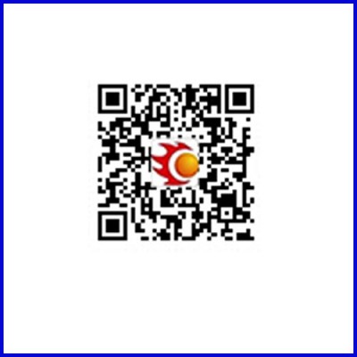天津泰鸥德国配置节能型感应式商用电壁挂炉 电采暖 电壁挂炉图2