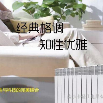 降低PM2.5 多地采用电采暖图1