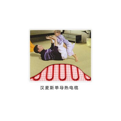 供应长春电采暖图4