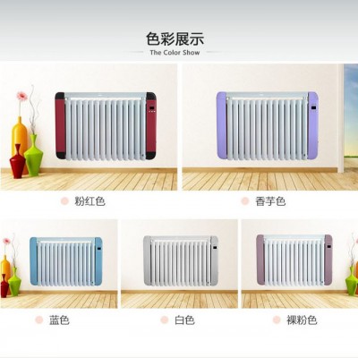 石家庄榕彩电暖器，注水式电暖器，电采暖炉图1