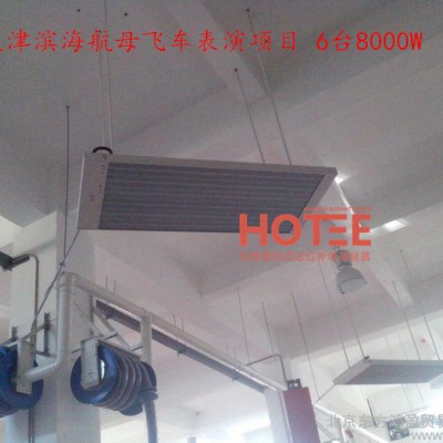 供应天域牌HOTEE远红外辐射高效节能电采暖器 汽车保养中心取暖图2