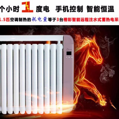 榕彩远程智能注水式蓄热电暖器，手机微信控制注水式电暖器，家用智能恒温电暖器，壁挂式智能电采暖器，榕彩电采暖炉，家用壁挂炉图4