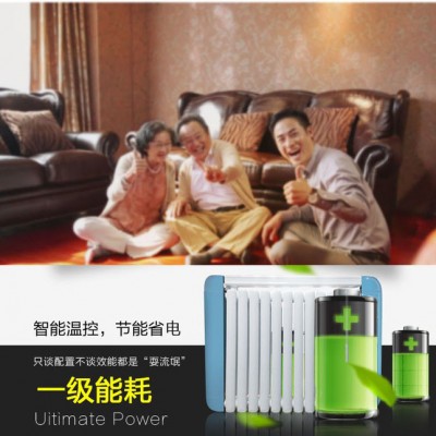 供应榕彩远程智能手机微信遥控电采暖炉，电采暖器，智能电采暖产品，电采暖设备，注水式电采暖产品，注水式电采暖器，电暖气图7