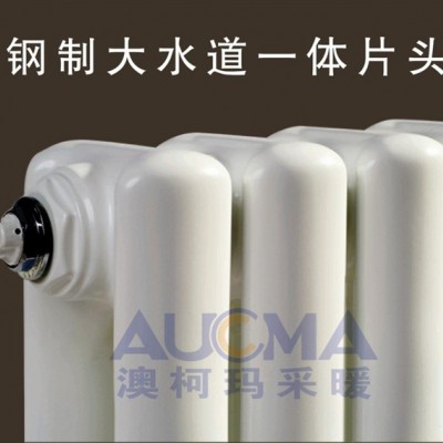 采暖散热器**品牌耐澳暖气片卫浴背篓电采暖**电暖气图2