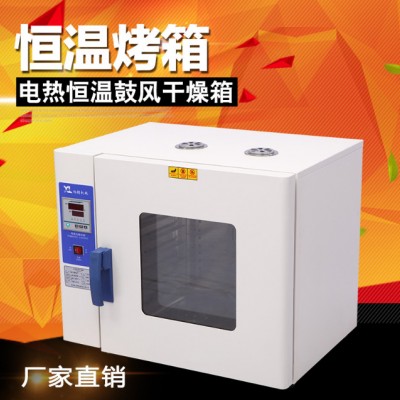 郑州厂家旭朗牌低温烘培箱杂粮烤箱电烤箱中药材烤箱智能数显电热鼓风干燥箱图3
