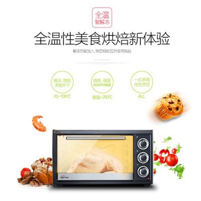 乐焙芝TY-231B电烤箱图4