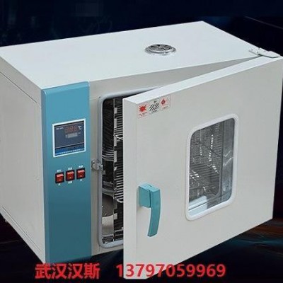 S电烤箱，电烘箱，电烘炉，电烤炉，电炉，工业小型精密型高温图1