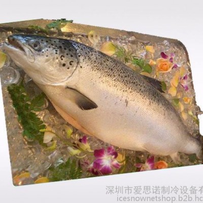 爱思诺大制冰机 工程制冰机 GM-10K商业片冰机 通用制冰机价格图8