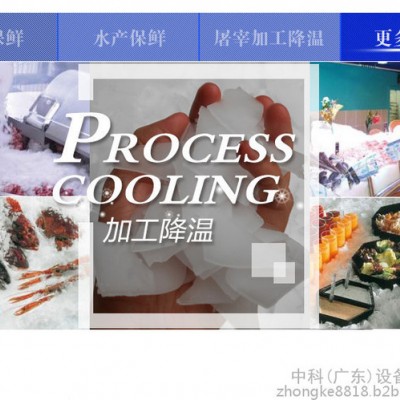 柯利雷300公斤片冰机 超市蔬菜保鲜制冰机 ZK-0.3鳞片制冰机 片冰机小型制冰机图2
